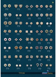 EARINGS